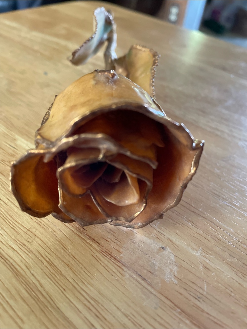 White 24kt Gold Dipped Forever Rose